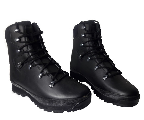 Фото: “Берцы армии Британии Сold Wet Weather Solution Haix Gore-Tex”, купить в интернет магазине