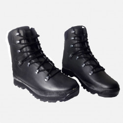 Фото: “Берцы армии Британии Сold Wet Weather Solution Haix Gore-Tex”, купить в интернет магазине