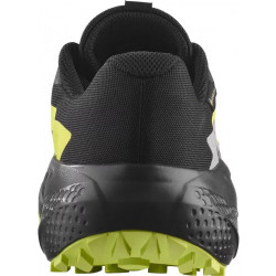 Превью товара: “Кроссовки Alphaglide GTX Salomon, цвет Black/Alloy”, купить в интернет магазине