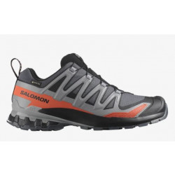 Фото: “Кроссовки XA PRO 3D V9 GTX Salomon, цвет Turbulence/Black”, купить в интернет магазине