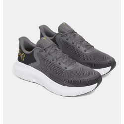 Превью товара: “Кроссовки Charged Rogue 5 Under Armour, цвет Gray”, купить в интернет магазине