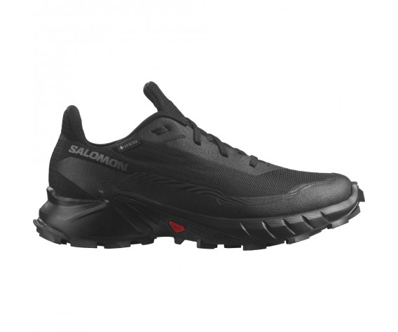 Фото: “Кроссовки ALPHACROSS 5 GTX Salomon, цвет Black/Ebony”, купить в интернет магазине