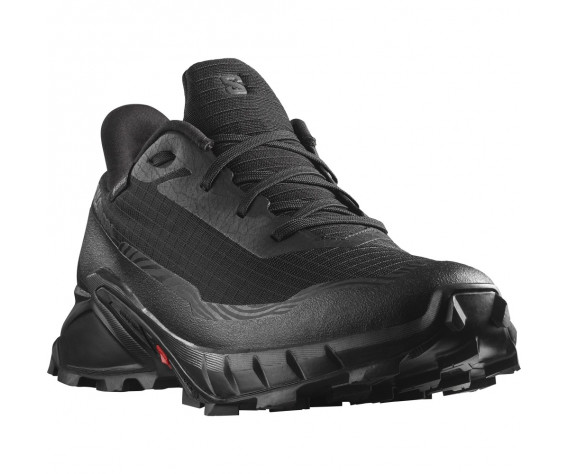 Фото: “Кроссовки ALPHACROSS 5 GTX Salomon, цвет Black/Ebony”, купить в интернет магазине