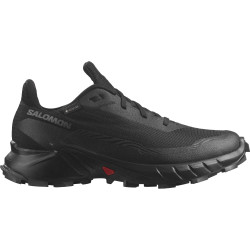Фото: “Кроссовки ALPHACROSS 5 GTX Salomon, цвет Black/Ebony”, купить в интернет магазине