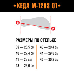 Фото: “Берцы Армада Кеда М-1203 О”
