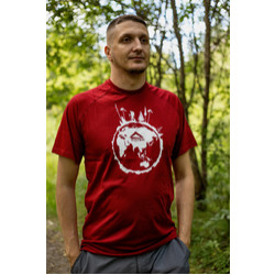 Фото: “Футболка PAYER World Tour, хлопок, бордо”