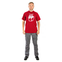 Фото: “Футболка PAYER World Tour, хлопок, бордо”