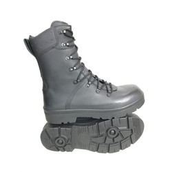 Фото: “Берцы Haix BW”