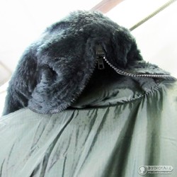 Фото: “Зимний комбинезон ВВС Великобритании”