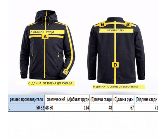 Фото: “Олимпийка Dobermans BCZ 126”, купить в интернет магазине