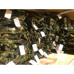 Фото: “Парка флектарн Бундесвер новая”